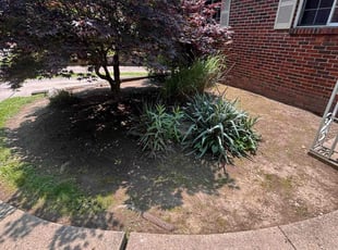 Weeding by David Rasulov for Ebony C. in Pittsburgh, PA