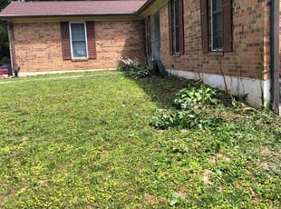 Weeding by Kareem Bonner for Michael H. in Amelia, OH