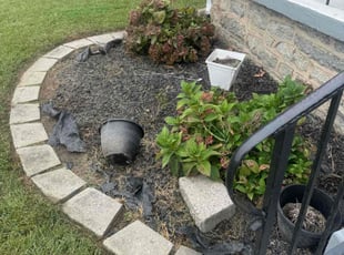 Weeding by Norberto Soto for Evelyn D. in Yeadon, PA