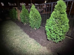 Mulching by Edgar Elmore for Christopher K. in Washington, DC