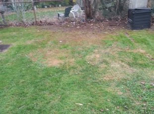 Leaf Removal by Damon Bottles for Adam L. in Pittsburgh, PA