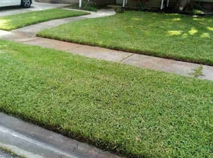 Gary G.'s Yard Cutting service result