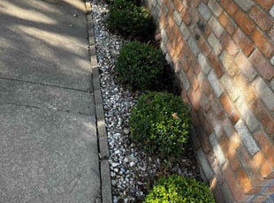 Bush Trimming by Jose Carney for Sue A. in Fort Worth, TX