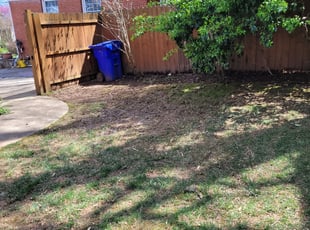 Cleanups by Miguel Santos for Analisa E. in Bethesda, MD