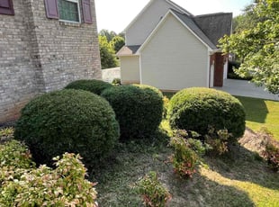 Bush Trimming by Elvis Pasic for Camille H. in Lawrenceville, GA