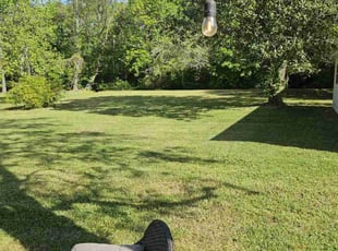 Reggie -.'s Yard Cutting service result