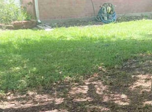 Leaf Removal by Gabriel Pearson for Damien T. in Pearland, TX