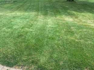 Katie G.'s Lawn Care service result