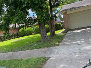 Treona S.'s Lawn Mowing Service service result
