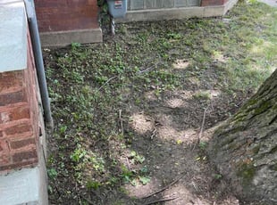 Cleanups by Takesha Johnson for Clement B. in Chicago, IL