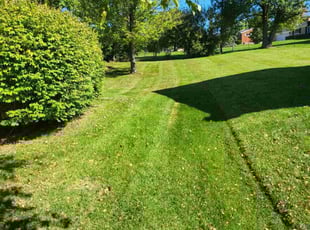 William E.'s Lawn Service service result