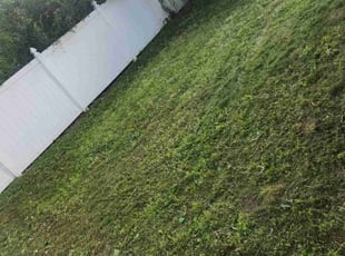 Leaf Removal by Howard Breunig for Linda W. in Madison, WI