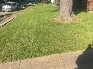 Nina S.'s Lawn Service service result