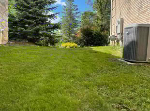 William B.'s Lawn Mowing service result