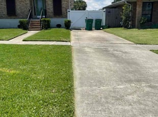 Roxanne S.'s Lawn Service service result