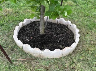 Weeding by Keanu Contreras for Jason B. in New Braunfels, TX