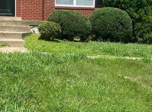 Bush Trimming by Gustavo Martinez for Edwin M. in Woodbridge, VA