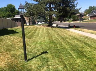 Patrick G.'s Lawn Maintenance service result