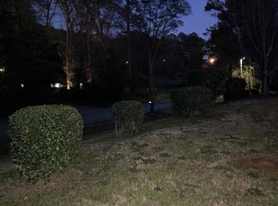 Bush Trimming by Bobbyp Goggins for Robert P. in Stockbridge, GA