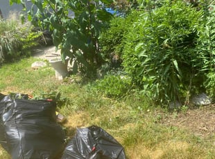 Weeding by Lakieva Rowe for Jillian H. in Kansas City, MO
