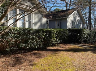 Bush Trimming by Sandra Gutierrez for Holland D. in Raleigh, NC