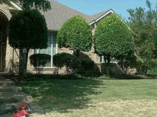 Bush Trimming by Stephen Fournier for Brett P. in Heath, TX