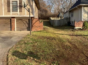 Leaf Removal by Damian Gray for Monica J. in Kansas City, MO