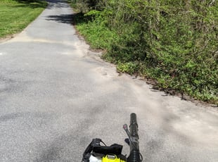 Cleanups by Hayden Jensen for Katy T. in Asheville, NC