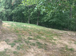 Leaf Removal by Melissa Lee for Victoria S. in Clinton, MD