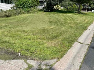 Nancy S.'s Lawn Service service result