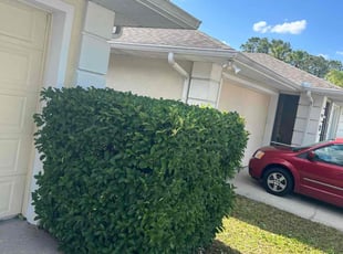 Bush Trimming by Mark Leon for Irina I. in Kissimmee, FL