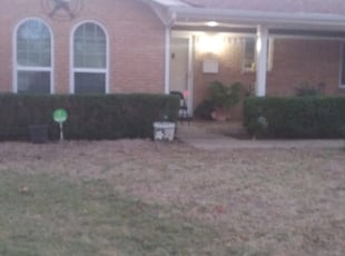 Bush Trimming by Edward Rodriguez for david R. in Fort Worth, TX