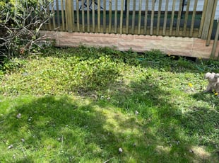 Cleanups by Rick Smith for Cheryle L. in Seven Hills, OH