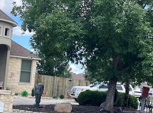 Weeding by Aldo Mancha for Nicole J. in New Braunfels, TX