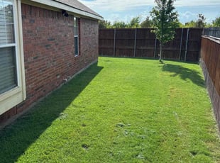 Cleanups by Jason Mince for Kimberley P. in Frisco, TX