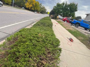 Bush Trimming by Jacques Chauvin for Shannon J. in Northglenn, CO