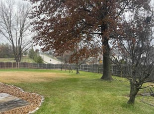 Leaf Removal by Justin Schuler for Sharon D. in O'Fallon, MO