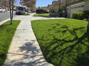 Torrence C.'s Grass Cutting service result