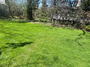 Richard H.'s Lawn Mowing service result