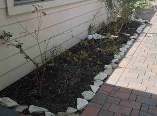 Leaf Removal by Alexis Perez for Nicholas E. in Houston, TX