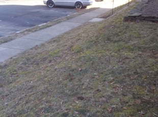 Leaf Removal by Jim Crossett for Carisia S. in Reston, VA