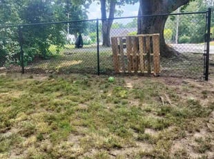 Leaf Removal by Zachary Lamson for Carlito W. in Taunton, MA