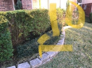 Bush Trimming by Domingo Rosas for Terrance C. in Houston, TX
