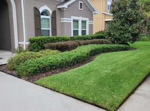 Bush Trimming by Evan Bowling for Robin D. in Zephyrhills, FL