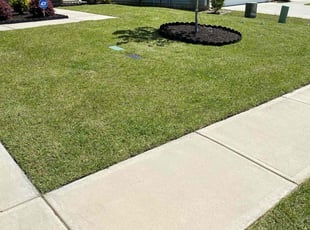 Devilyn J.'s Lawn Mowing service result