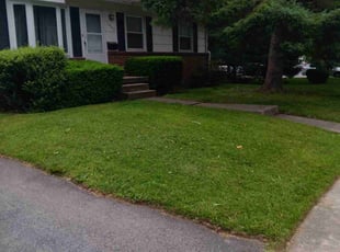 Melanie Z.'s Lawn Care service result