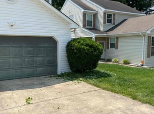 Bush Trimming by Austin Hill for BJ W. in Newport News, VA