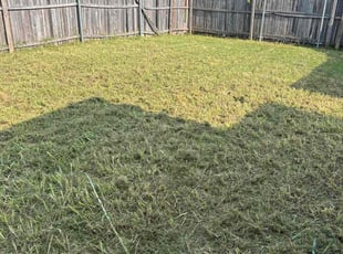 Cleanups by Juan Uribe for Marci F. in Lancaster, TX