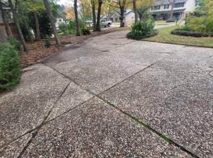 Leaf Removal by Francisco Prado for Heidi S. in Houston, TX