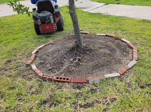 Weeding by Gladis Carcamo for Judith U. in Richmond, TX